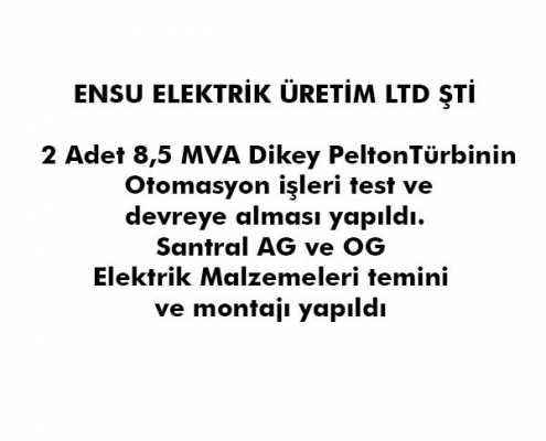 cigdem-hess